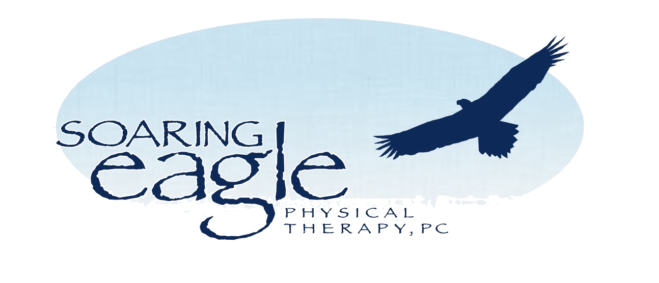 Soaring Eagle Physical Therapy logo